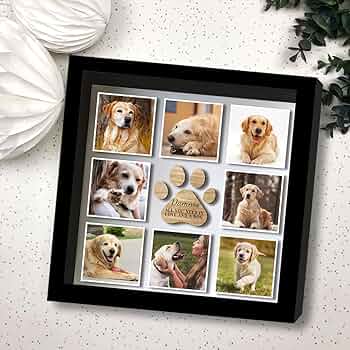 Premium Photo Frame